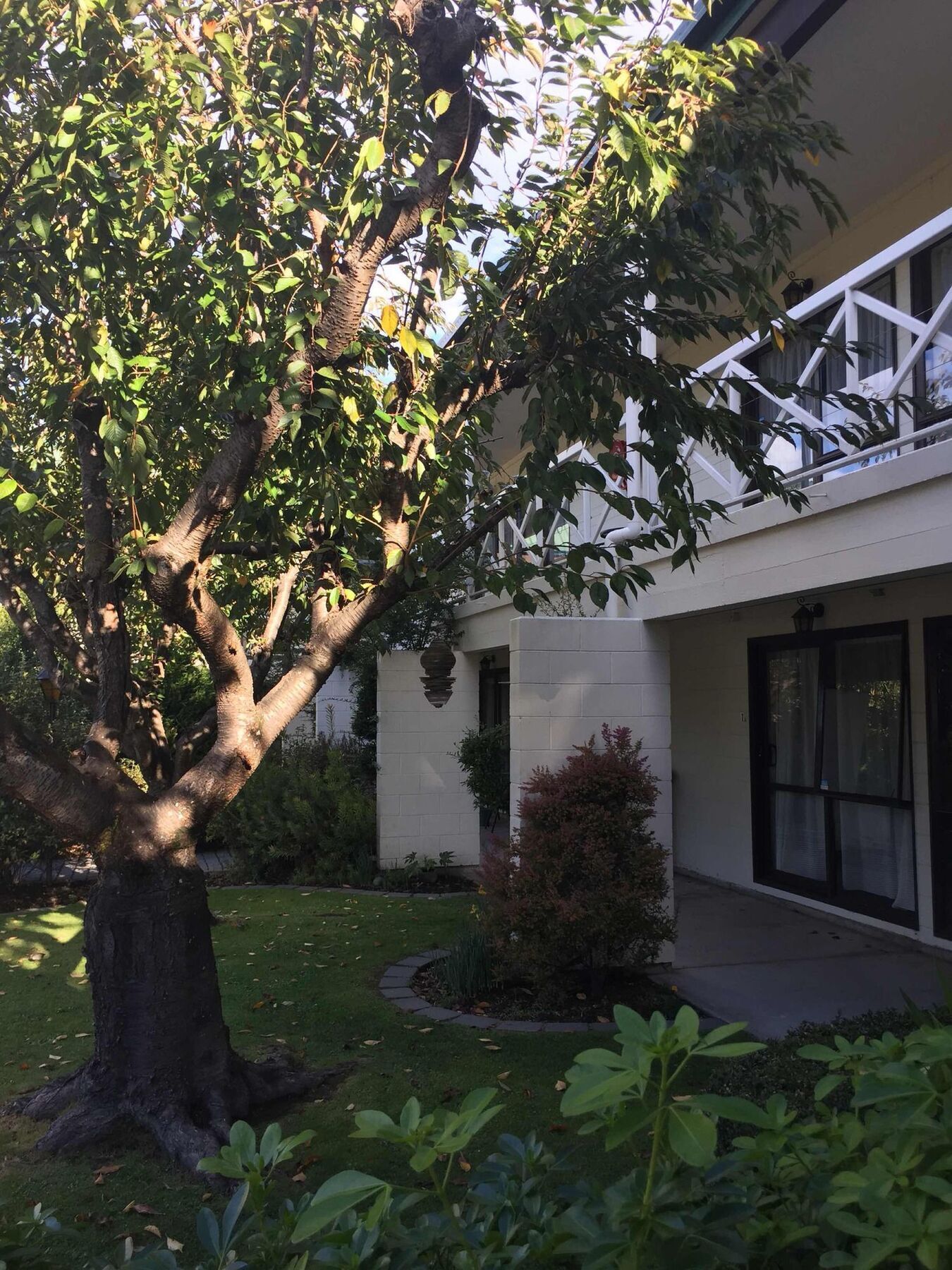 Raceway Motel Christchurch Exterior foto